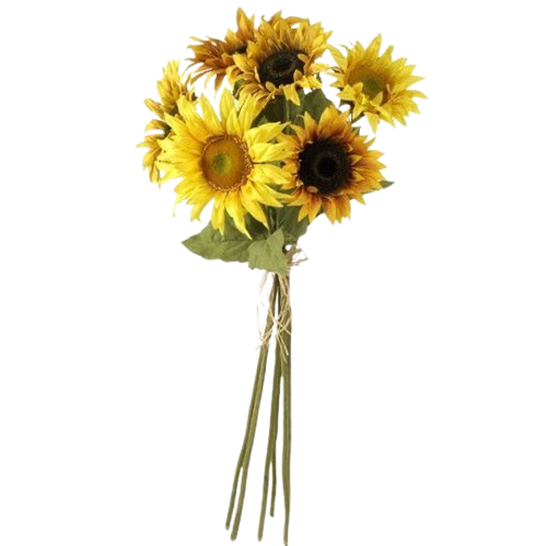 Wildflower